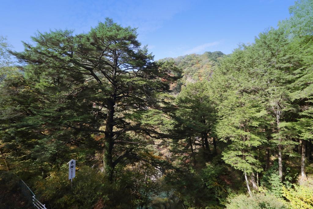 Tsuganoki Hotel Nikko Exterior photo